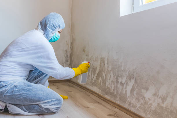 Bathroom Mold Removal assessment in Carlisle bathroom
